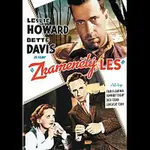 Různí interpreti – Zkamenělý les DVD
