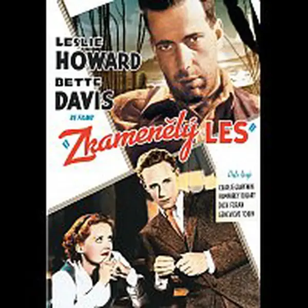 Různí interpreti – Zkamenělý les DVD