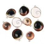 Natural Sea Shell Pendants