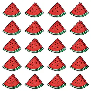 Watermelon
Polyester Embroidered Cloth Patch