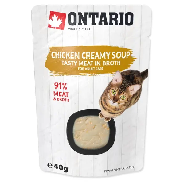 ONTARIO Polievka kuracia so syrom 40 g