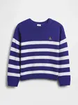 GAP Baby Sweater - Boys