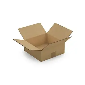 15 x Kartonová krabice 250x250x100mm, hnědá, klopová,pětivrstvá vlnitá lepenka (5VVL) RAJA