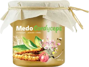 MYCOMEDICA MedoCordyceps 400 g