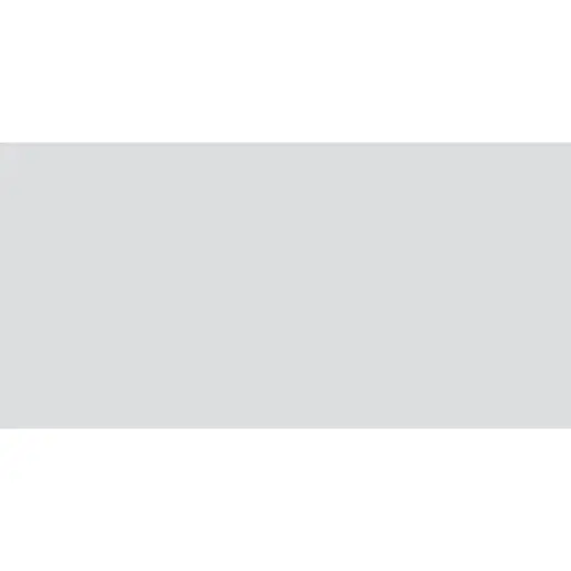 Obklad Rako Concept svetlo sivá 30x60 cm mat WAAVK112.1