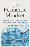 The Resilience Mindset - Terry Healey