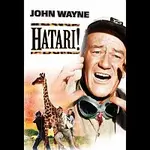 Různí interpreti – Hatari DVD