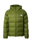 THE NORTH FACE Zimná bunda 'Hydrenalite'  olivová