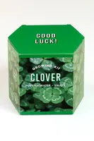 Sada na pěstování rostlin RESETEA Clover Growing Kit 9,8 x 8,8 x 8,8 cm