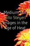Medium Hot (Images in the Age of Heat) - Hito Steyerl