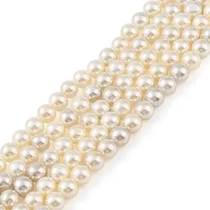 Electroplated Natural Freshwater Shell Beads Strands