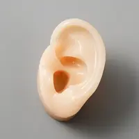 Silicone Ear Flexible Model Body Part Displays