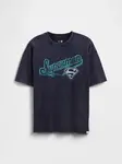 GAP  Chlapecké Dětské tričko  & DC Americana 780365-01 Veľkosť: L