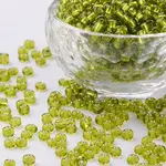 6/0 Glass Seed Beads