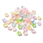 Gradient Color Acrylic Bead Caps