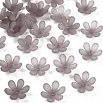 Transparent Acrylic Beads