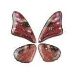 Translucent Resin Pendants Set