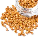 6/0 Glass Seed Beads