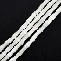 Natural Freshwater Shell Beads Strands