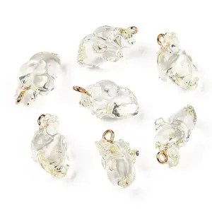 Transparent Resin Pendants