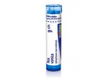 Nux vomica 9CH granule 4g