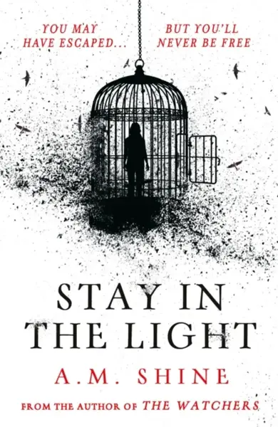 Stay in the Light - A.M. Shine
