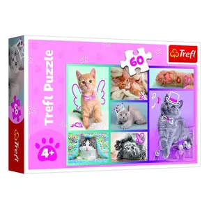 Puzzle Roztomilé kočky