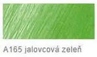 Pastelka Faber-Castell Polychromos – 165 juniper green