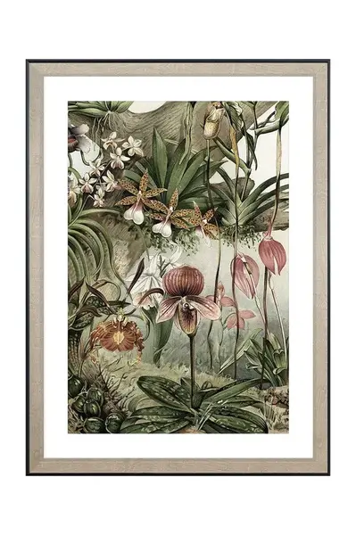 Nástěnná dekorace v rámu home & lifestyle TROPICAL ORCHIDS 50 x 70 cm