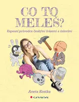 Kniha: Co to meleš? od Kostka Aneta