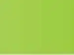 Pastel Caran d'Ache Neocolor I 230 Yellow green