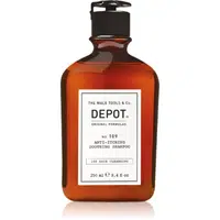 DEPOT 100 HAIR CLEANSING NO. 109 ANTI-ITCHING SOOTHING SHAMPOO upokojujúci šampón pre všetky typy vlasov 250 ml