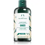The Body Shop Ginger Conditioner kondicionér pre suchú pokožku 250 ml