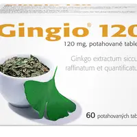 Gingio 120 mg 60 potahovaných tablet