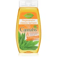 Bione Cosmetics Cannabis regenerační šampon 260 ml