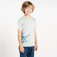 Dětské funkční tričko dare2b amuse ii světle šedá 110-116