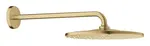 Grohe Rainshower Mono - Hlavová sprcha, průměr 31 cm, kartáčovaný Cool Sunrise 26558GN0