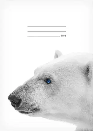 Školní sešit LUX A5 544 Lední medvěd