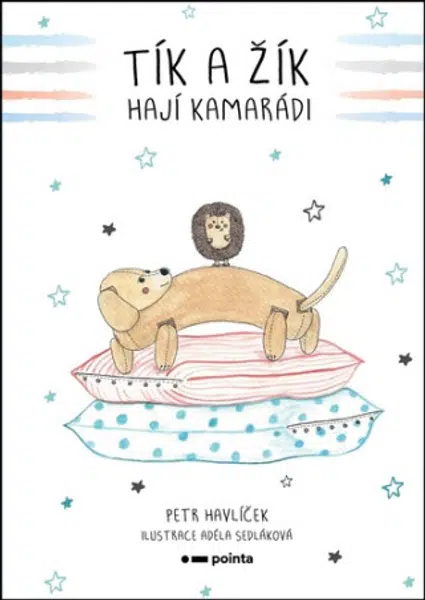 Tík a Žík, hají kamarádi - Petr Havlíček
