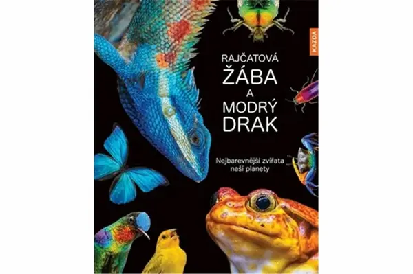 Rajčatová žába a modrý drak - Andrea Köhrsenová