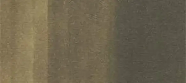 Copic Ink – E87 Fig