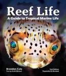 Reef Life - Michael Scott
