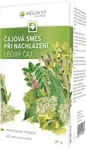 MEGAFYT Čajová směs při nachlazení 20 sáčků