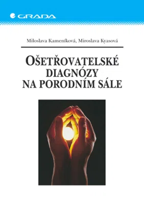 E-kniha: Ošetřovatelské diagnózy na porodním sále od Kameníková Miloslava