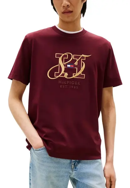 Tommy Hilfiger T-Shirt Uomo