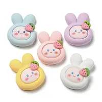 Opaque Resin Decoden Cabochons