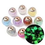 Opaque Luminous Resin & CCB Plastic Beads