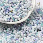 Two Tone Baking Paint Glass Seed Beads