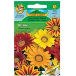 Gazánia lesklá, zmes