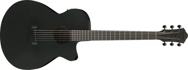 Ibanez AEG1221-BOT